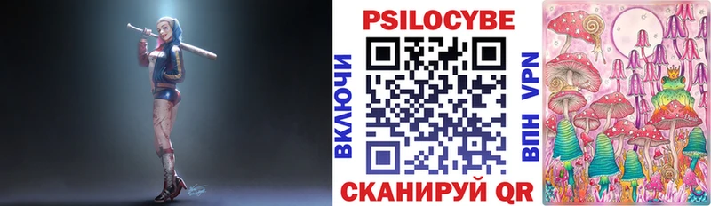 Галлюциногенные грибы Psilocybe  omg онион  Любим 