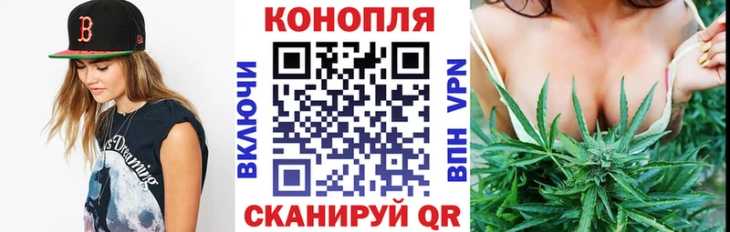 Шишки марихуана сатива  Любим 